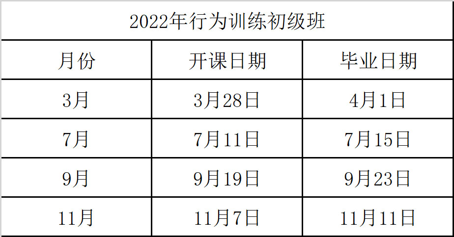 行为初级.jpg