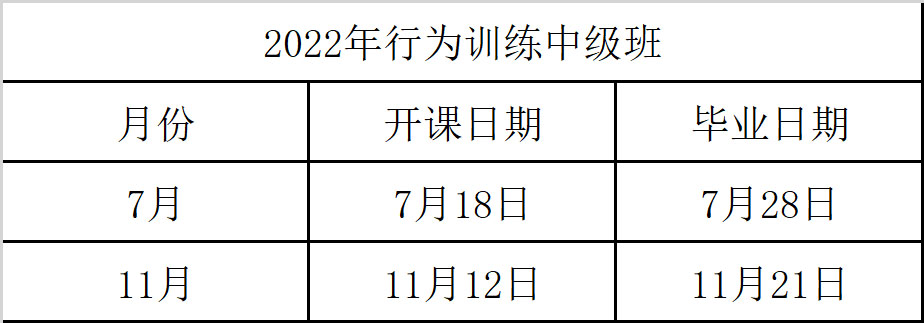行为中级.jpg