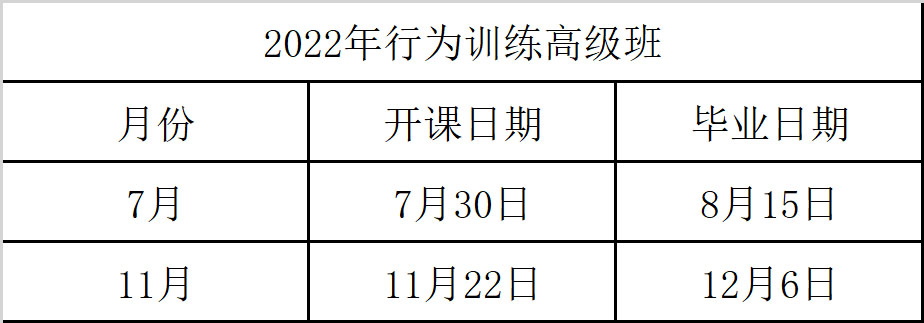行为高级.jpg