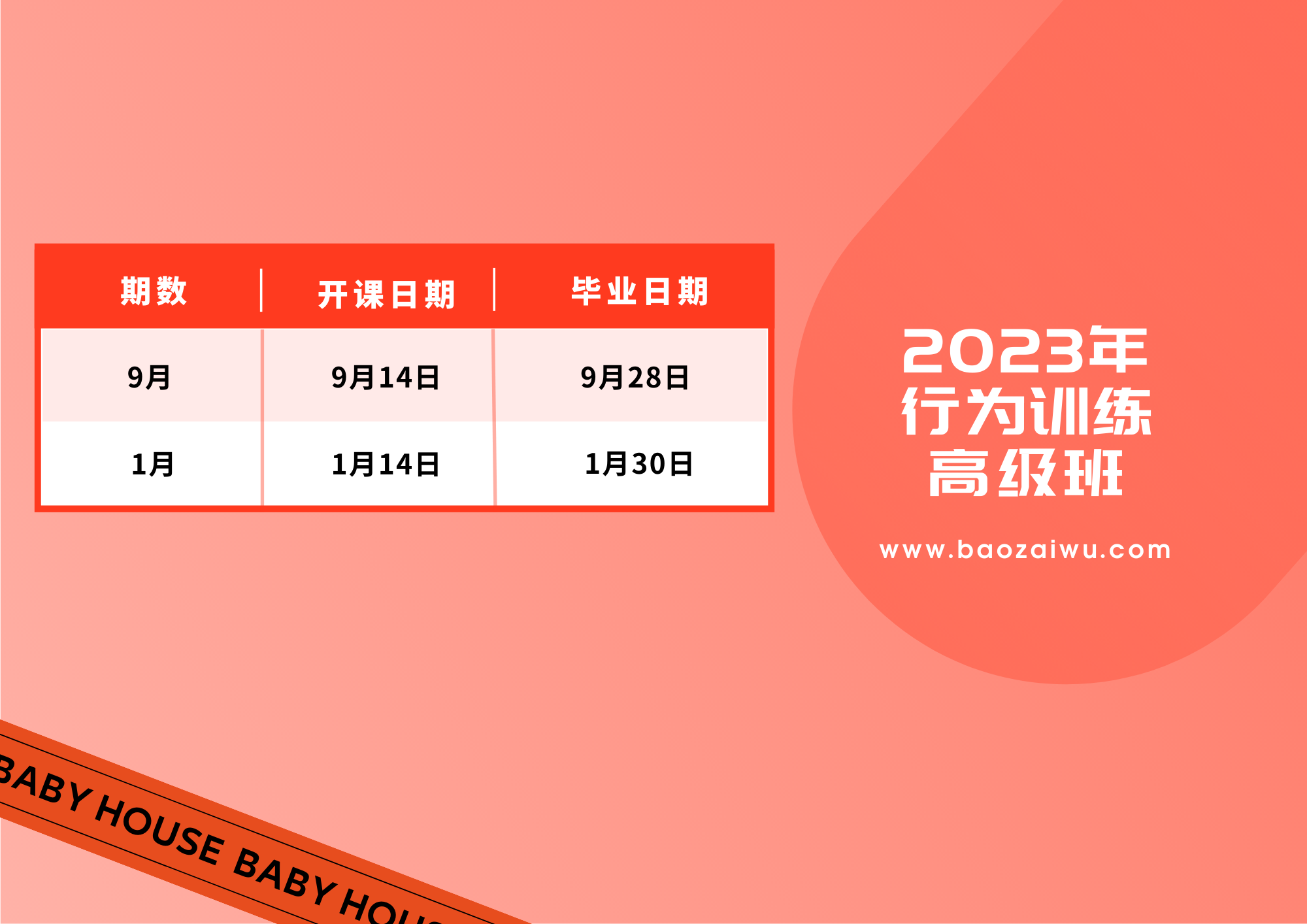 黄蓝色创意时尚教育分享考研培训课程表 (3).png